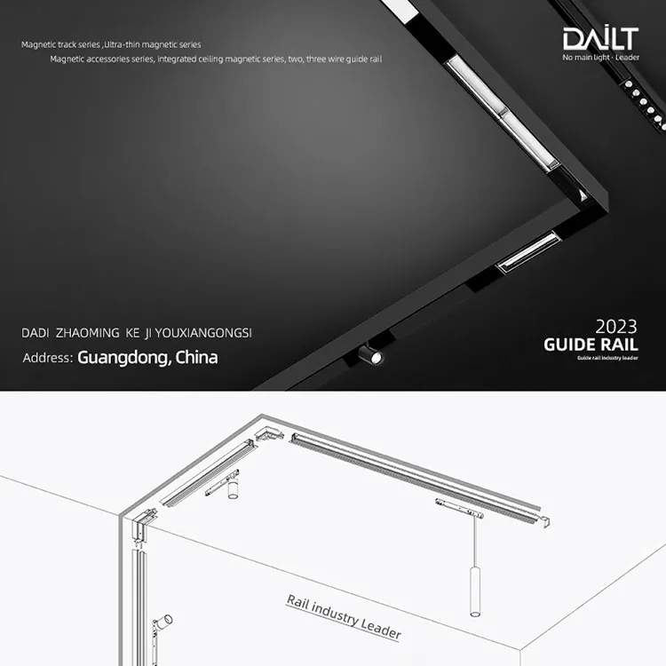 Quid est differentia inter track luminatione et rail dolor?